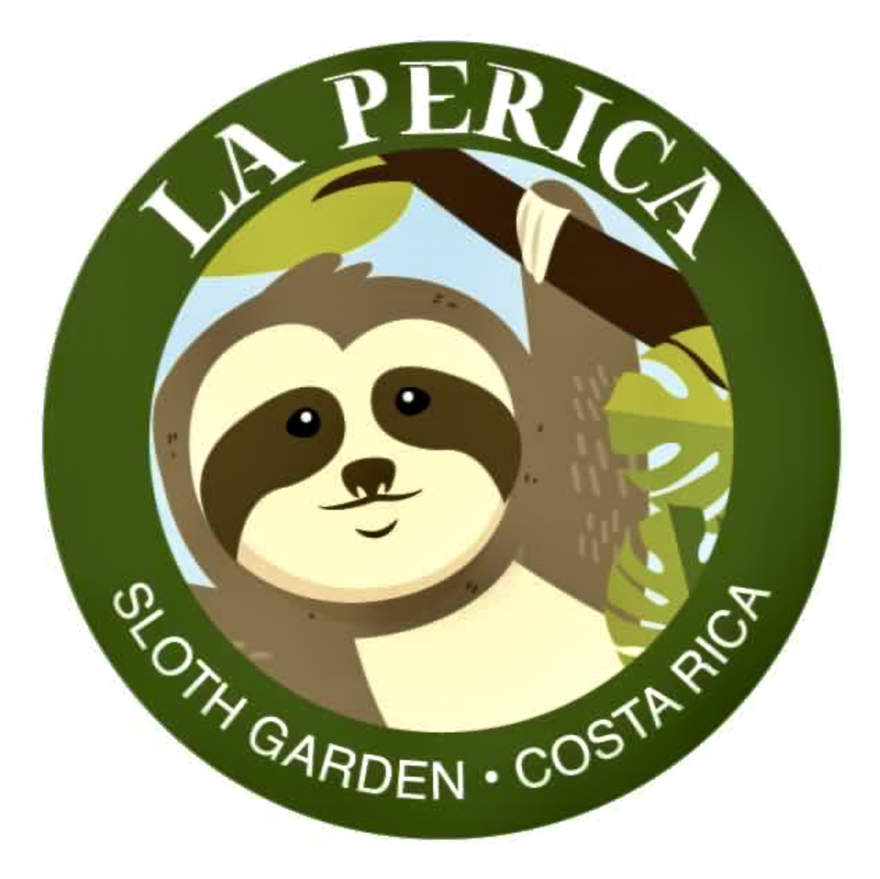 Osa Peninsula Costa Rica Sloth Tour