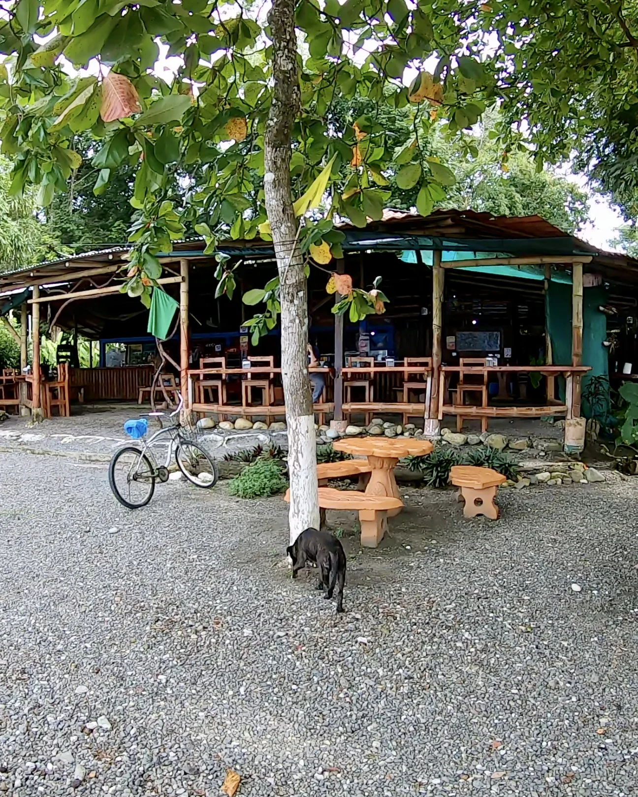 Puerto Jimenez beach bar