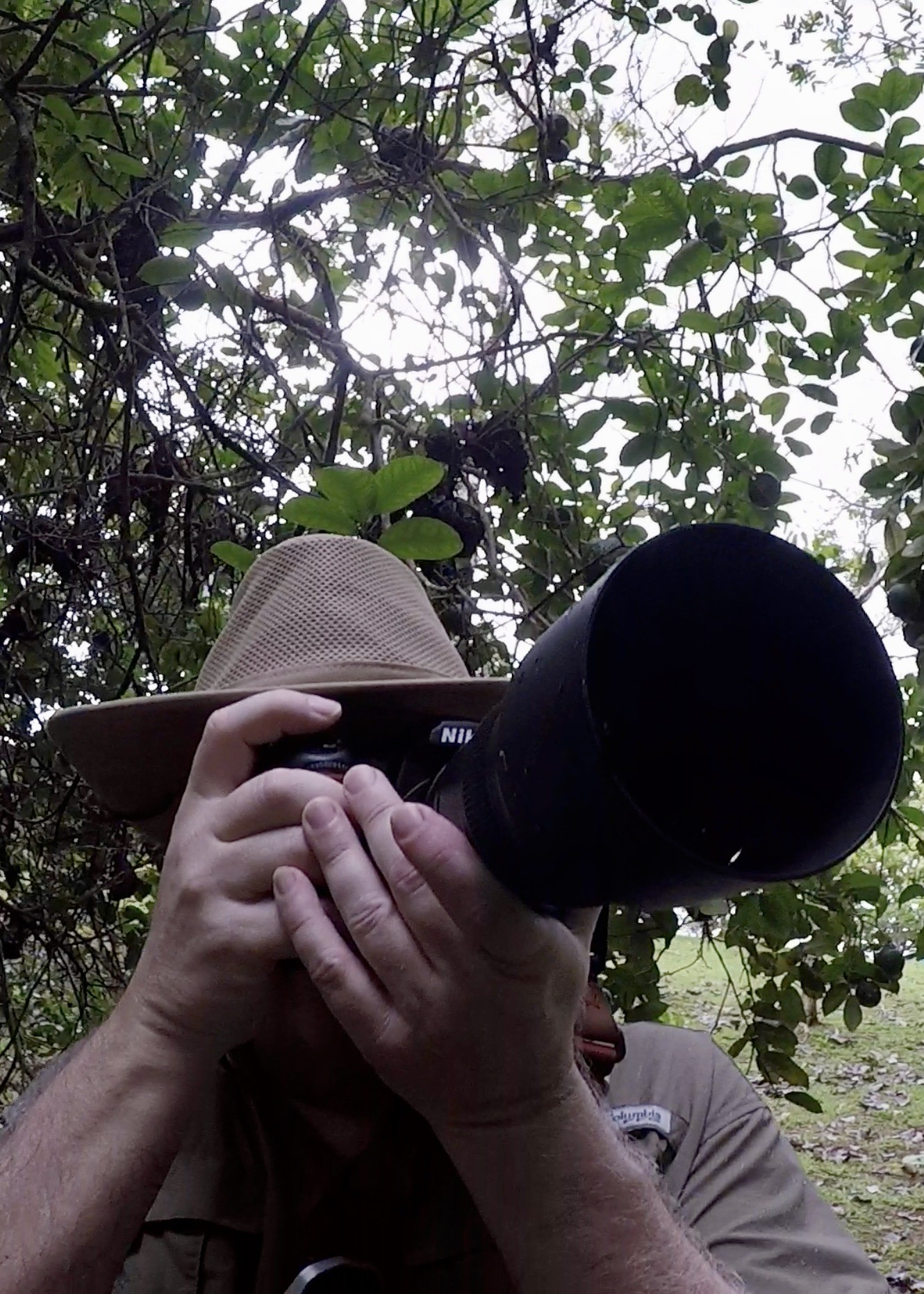 Photographing The Osa Peninsula Costa Rica