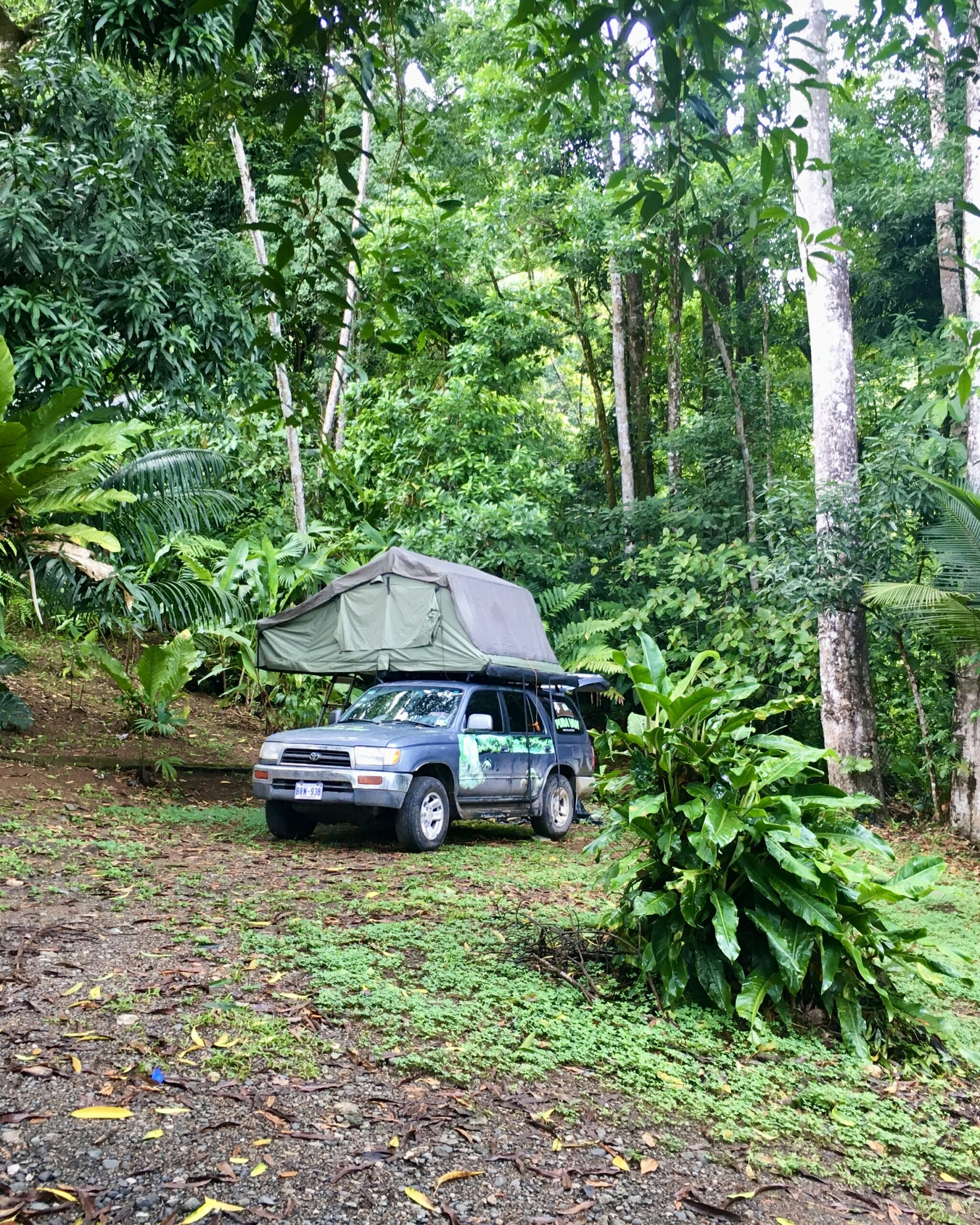 Camping Glamping 4wd stays