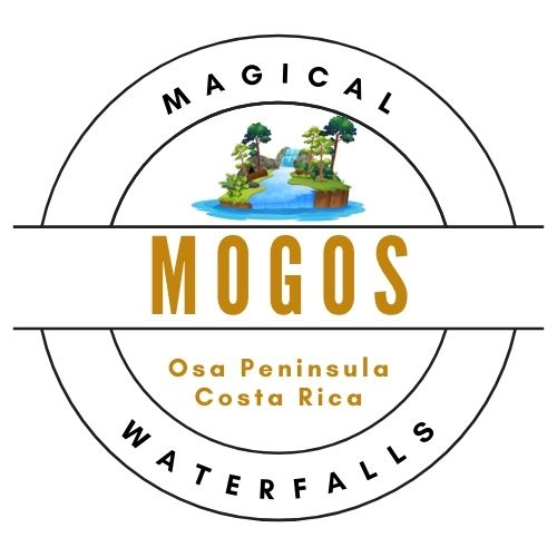 Magical Mogos Waterfalls Osa Peninsula