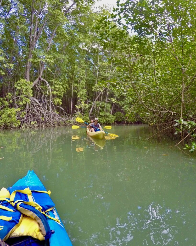 Osa Peninsula Kayaking andPaddle Boarding
