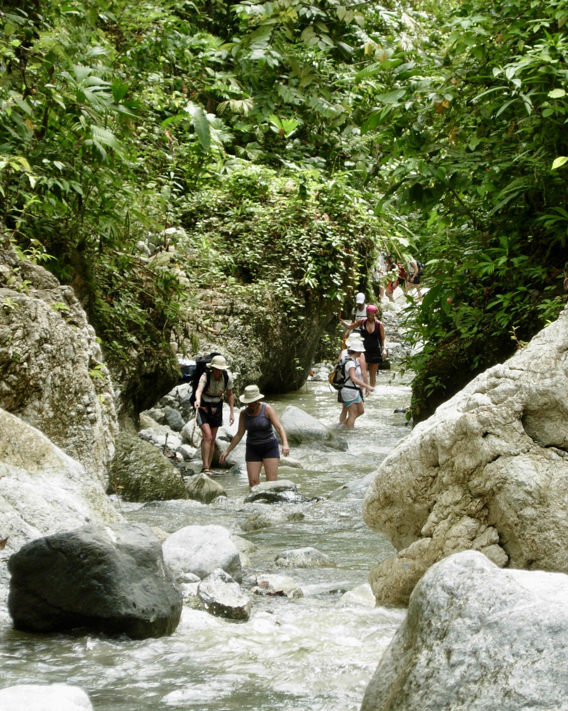 Costa Rica Ecotours