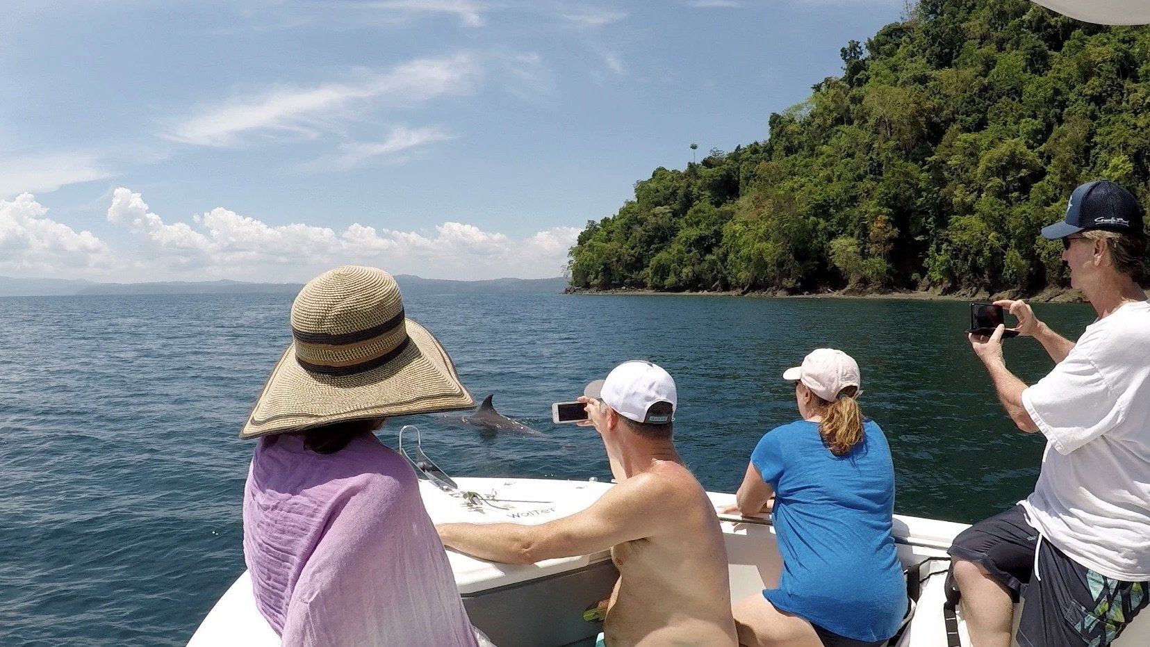 Costa Rican Dolphin Tours