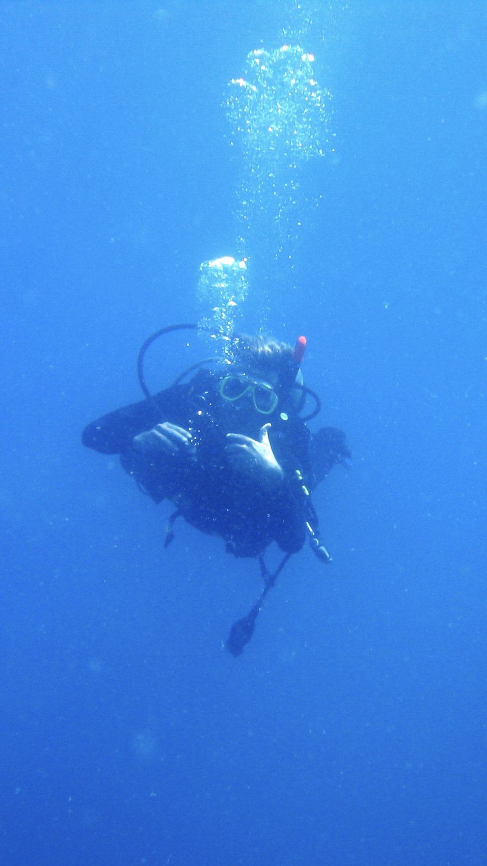 Costa Rica Scuba Diving