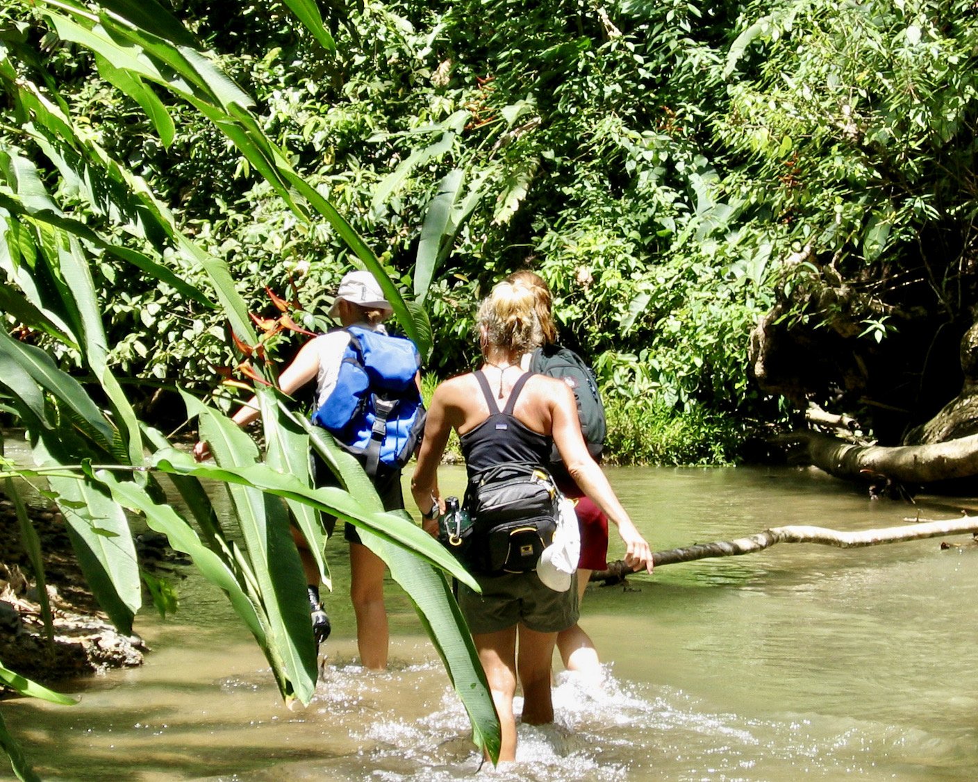 Costa Rica Ecotours